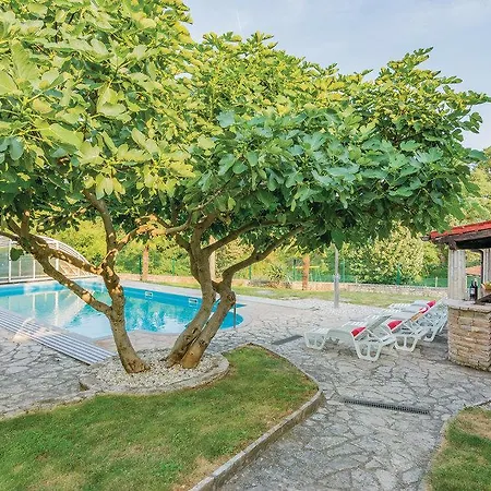 Vidulinka Guest house *